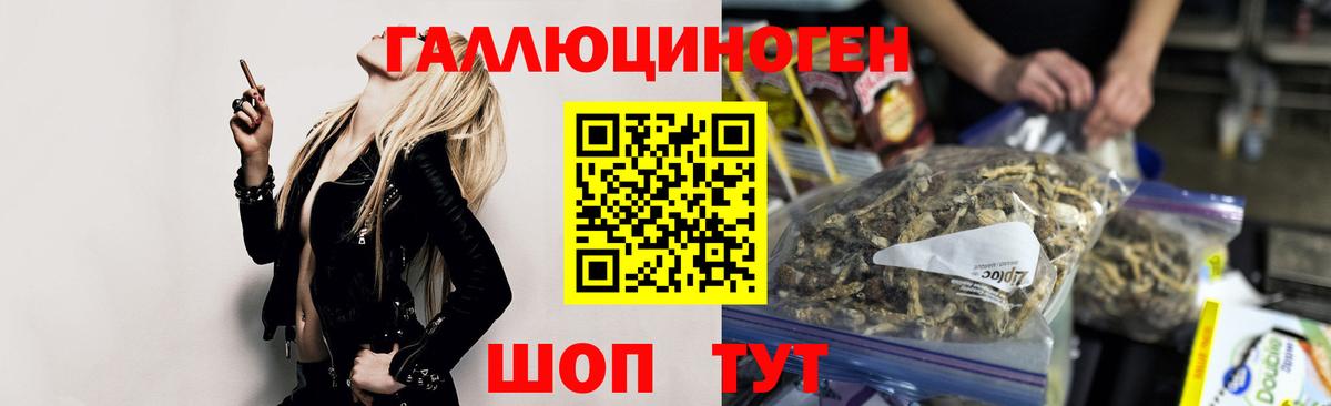 Галлюциногенные грибы Psilocybe Кызыл